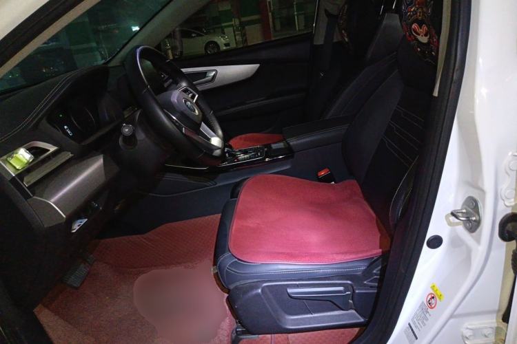 Used BYD Qin New Energy 2021 Travel Edition Left Front Seat