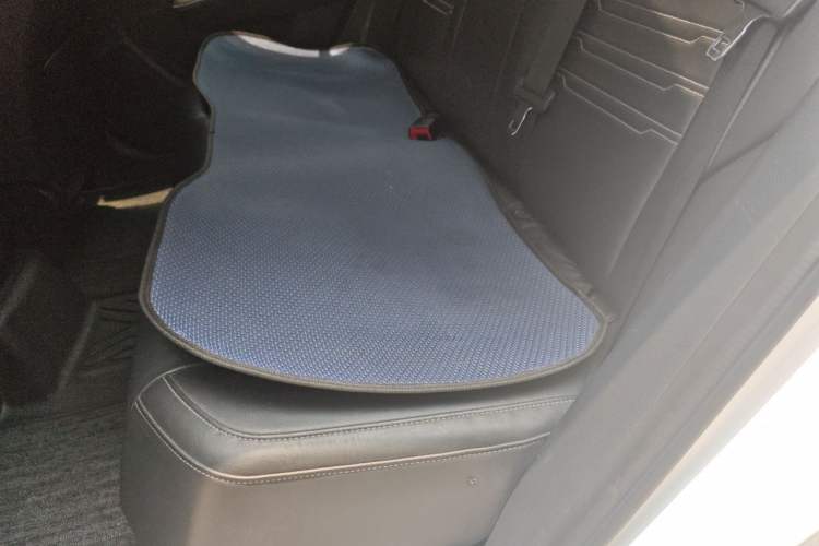 Used BYD Qin New Energy 2021 Travel Edition Left Rear Seat