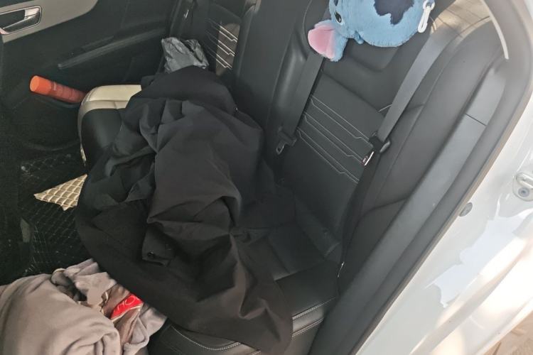 Used BYD Qin New Energy 2021 Travel Edition Left Rear Seat