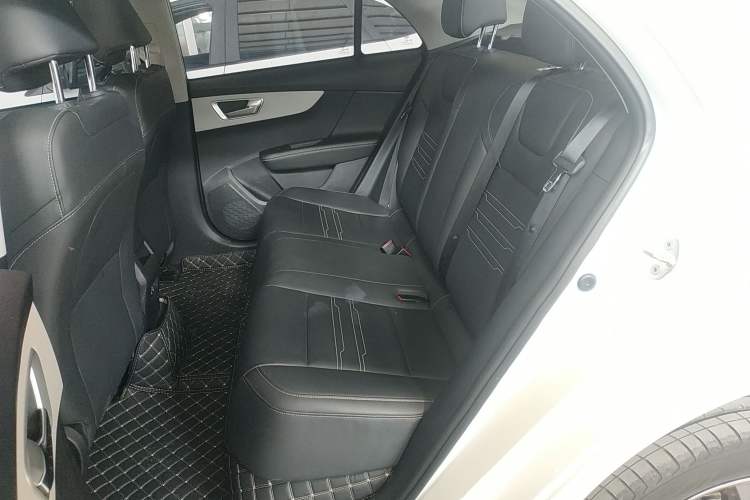 Used BYD Qin New Energy 2021 Standard Edition Left Rear Seat