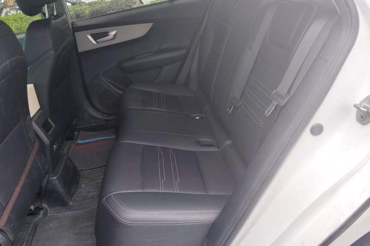 Used BYD Qin New Energy 2021 Lingchang Edition Left Rear Seat