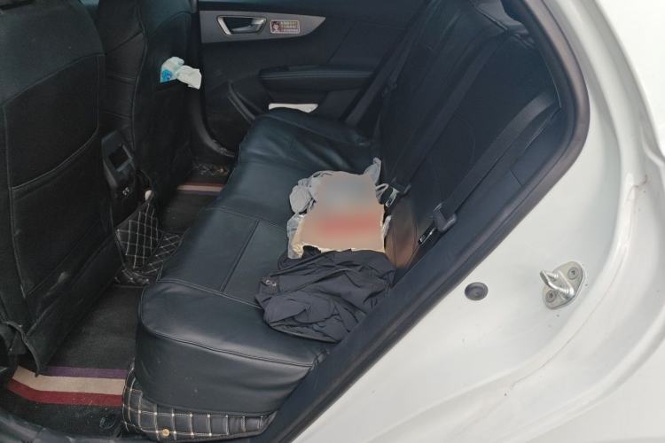 Used BYD Qin New Energy 2021 Travel Edition Left Rear Seat