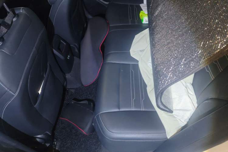 Used BYD Qin New Energy 2021 Travel Edition Left Rear Seat