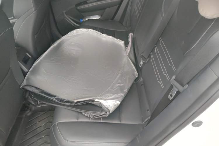 Used BYD Qin New Energy 2021 Travel Edition Left Rear Seat