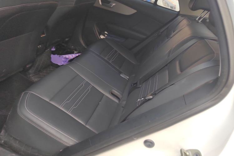 Used BYD Qin New Energy 2021 Travel Edition Left Rear Seat