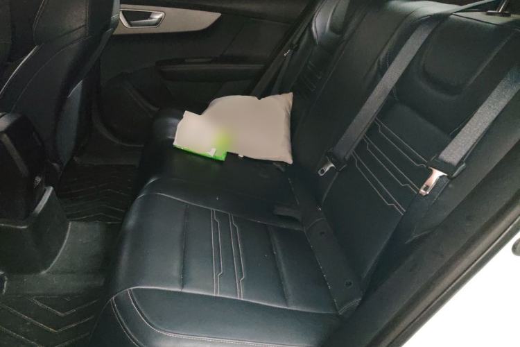 Used BYD Qin New Energy 2021 Lingchang Edition Left Rear Seat