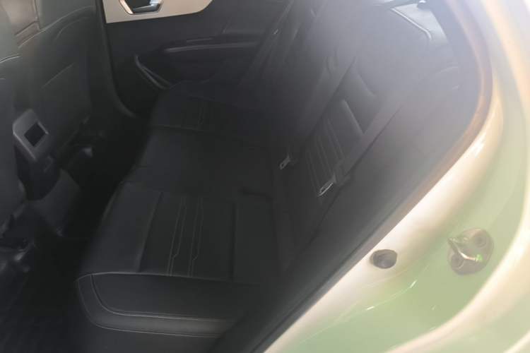 Used BYD Qin New Energy 2021 Travel Edition Left Rear Seat