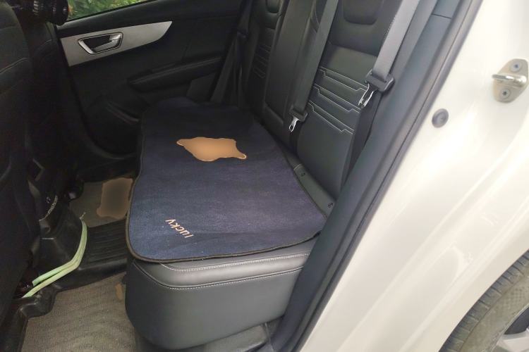 Used BYD Qin New Energy 2021 Travel Edition Left Rear Seat
