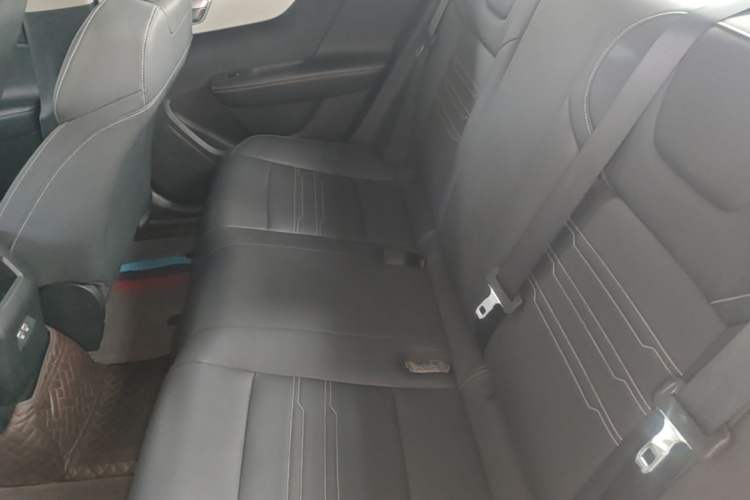 Used BYD Qin New Energy 2021 Travel Edition Left Rear Seat