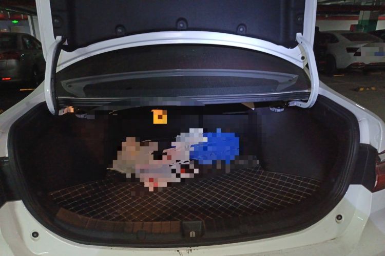 Used BYD Qin New Energy 2021 Travel Edition Trunk