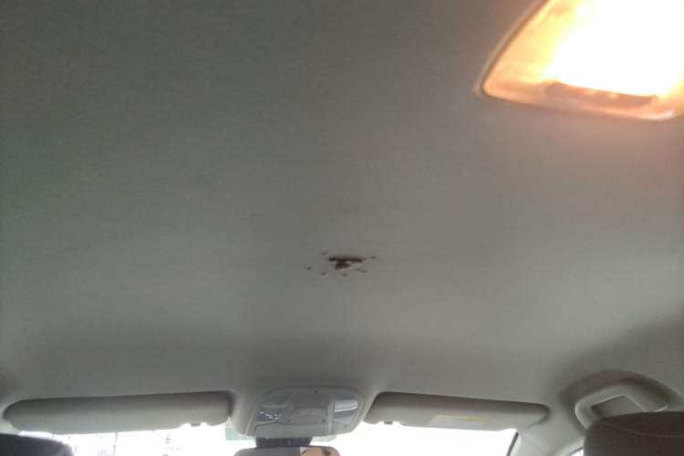 Used BYD Qin New Energy 2024 Standard Edition 450 Headliner