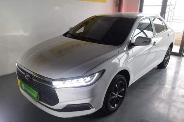 BYD Qin New Energy 2024 Standard Edition 450 usata