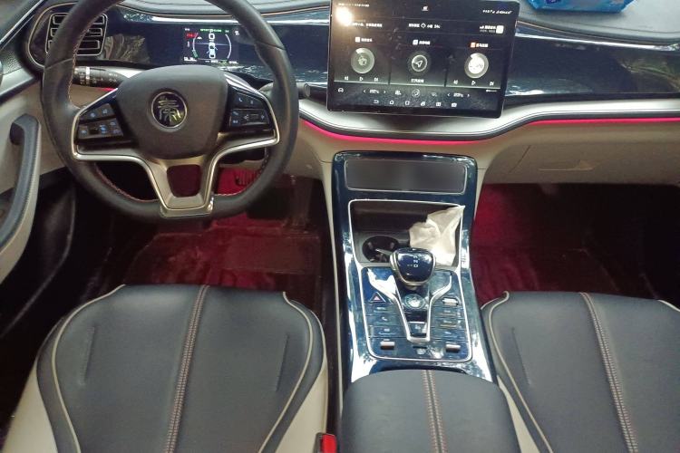 Used BYD Qin PLUS 2021 EV 600KM Flagship Model Interior 2