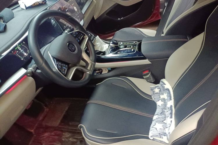 Used BYD Qin PLUS 2021 EV 600KM Flagship Model Left Front Seat