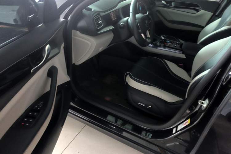 Used BYD Qin PLUS 2021 DM-i 55KM Flagship Model Driver Seat