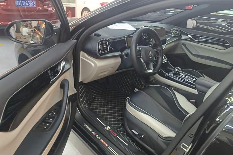 Used BYD Qin PLUS 2021 DM-i 55KM Flagship Model Driver Seat
