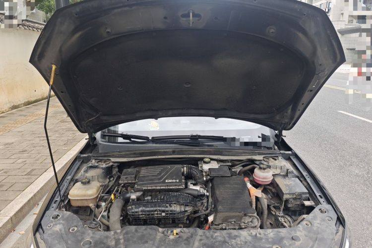 Used BYD Qin PLUS 2021 DM-i 120KM Prestige Model Engine Bay