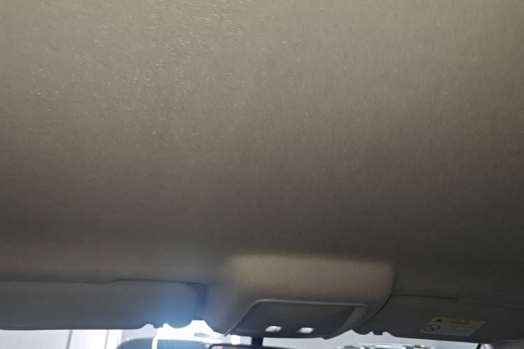 Used BYD Qin PLUS 2021 EV 420KM Commuter Edition Headliner