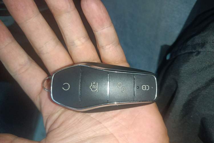 Used BYD Qin PLUS 2021 DM-i 55KM Flagship Model Interior 1