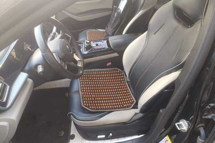 Used BYD Qin PLUS 2021 DM-i 55KM Flagship Model Left Front Seat