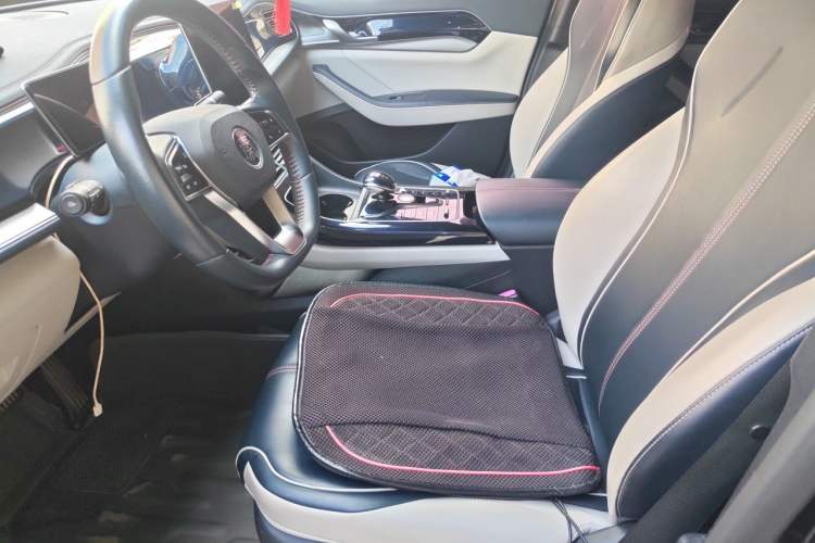 Used BYD Qin PLUS 2021 DM-i 55KM Flagship Model Left Front Seat