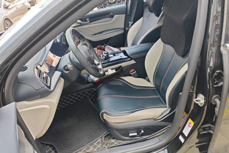 Used BYD Qin PLUS 2021 DM-i 55KM Flagship Model Left Front Seat