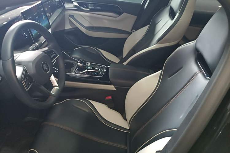 Used BYD Qin PLUS 2021 DM-i 55KM Flagship Model Left Front Seat