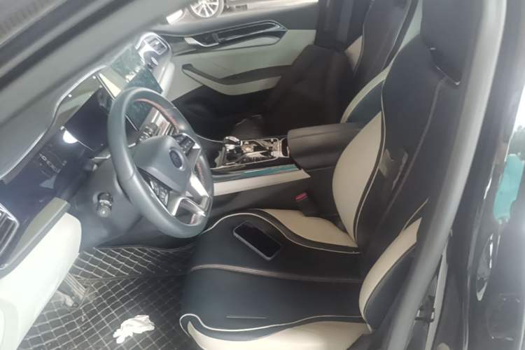 Used BYD Qin PLUS 2021 DM-i 120KM Flagship Model Left Front Seat