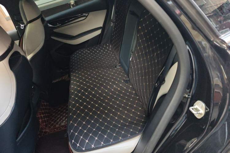 Used BYD Qin PLUS 2021 DM-i 55KM Flagship Model Left Rear Seat