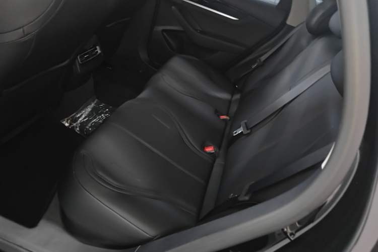 Used BYD Qin PLUS 2021 EV 420KM Commuter Edition Left Rear Seat