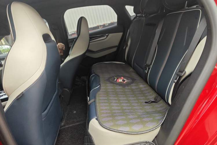 Used BYD Qin PLUS 2021 EV 400KM Luxury Model Left Rear Seat