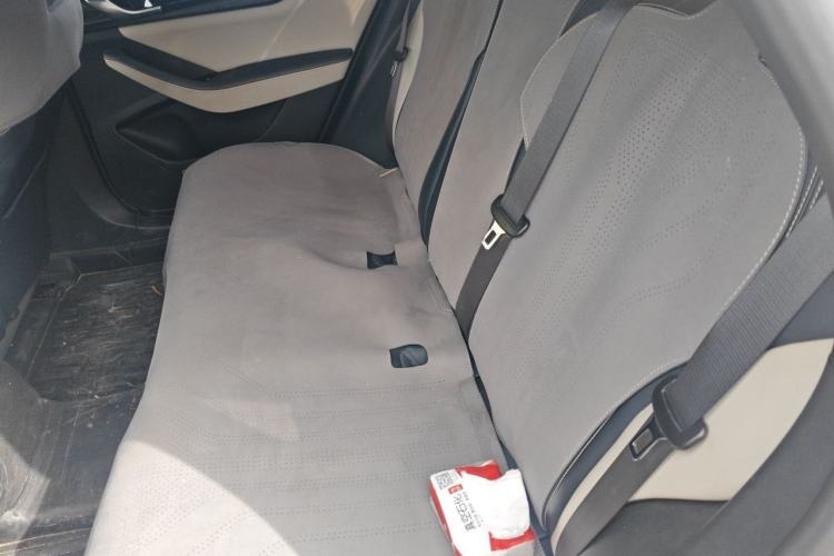 Used BYD Qin PLUS 2021 DM-i 55KM Prestige Model Left Rear Seat