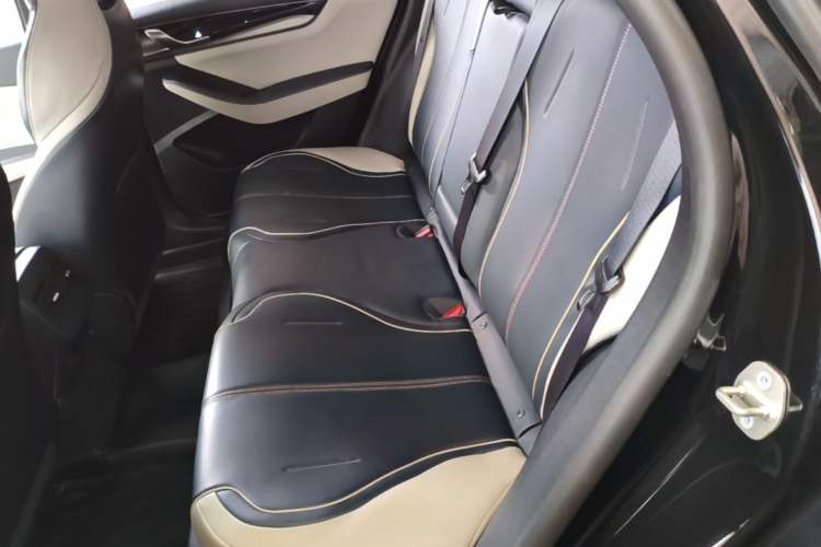 Used BYD Qin PLUS 2021 DM-i 55KM Flagship Model Left Rear Seat