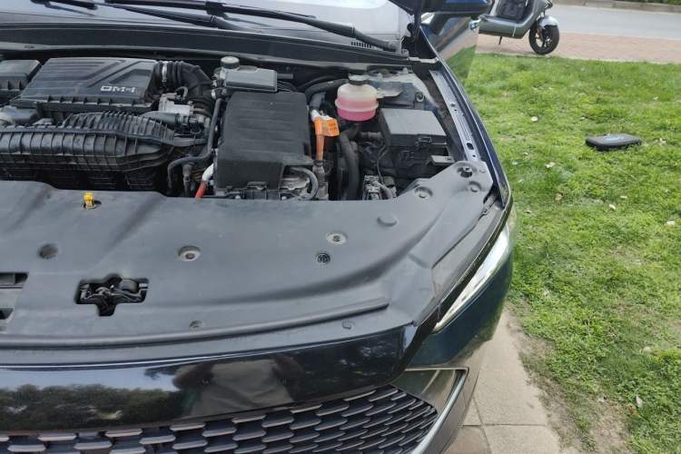 Used BYD Qin PLUS 2021 DM-i 55KM Flagship Model Engine Bay Left