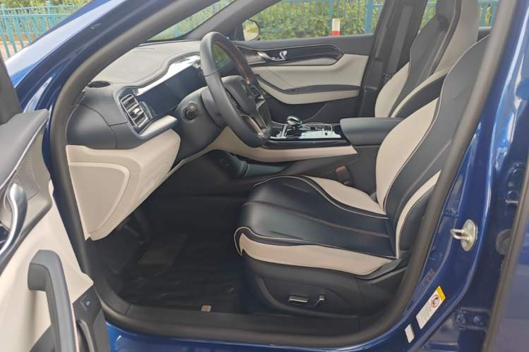 Used BYD Qin PLUS 2021 DM-i 120KM Flagship Model Left Front Seat