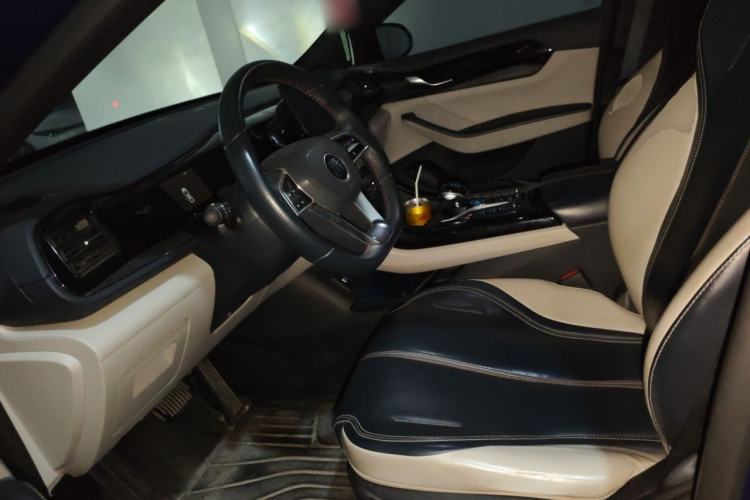 Used BYD Qin PLUS 2021 DM-i 55KM Prestige Model Left Front Seat