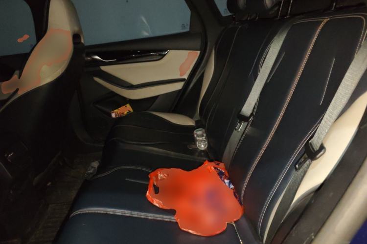 Used BYD Qin PLUS 2021 DM-i 55KM Prestige Model Left Rear Seat