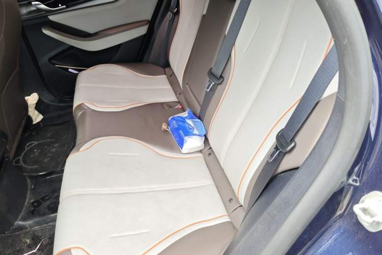 Used BYD Qin PLUS 2021 DM-i 120KM Prestige Model Left Rear Seat