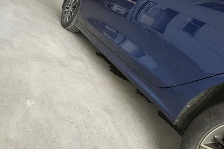Used BYD Qin PLUS 2021 DM-i 55KM Flagship Model Left Side Sill