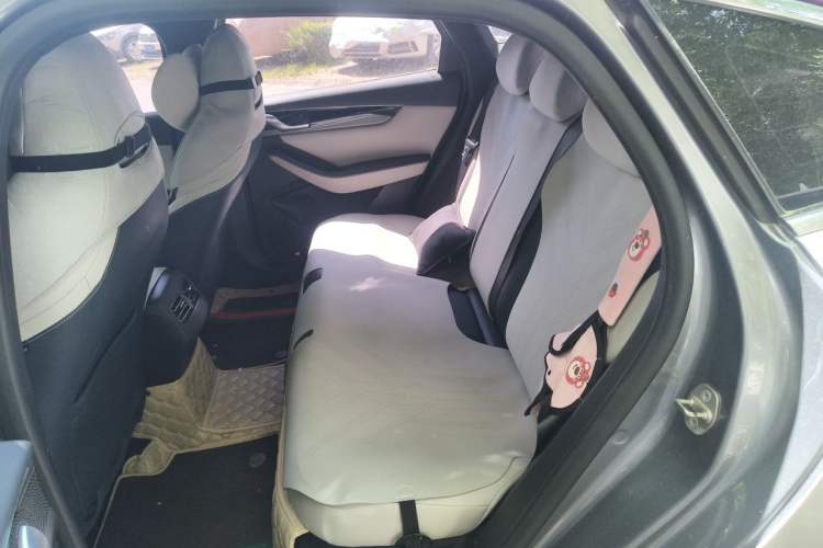 Used BYD Qin PLUS 2021 DM-i 55KM Flagship Model Left Rear Seat