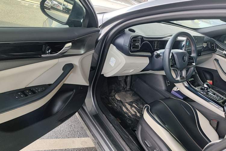 Used BYD Qin PLUS 2021 EV 500KM Premium Model Driver Seat