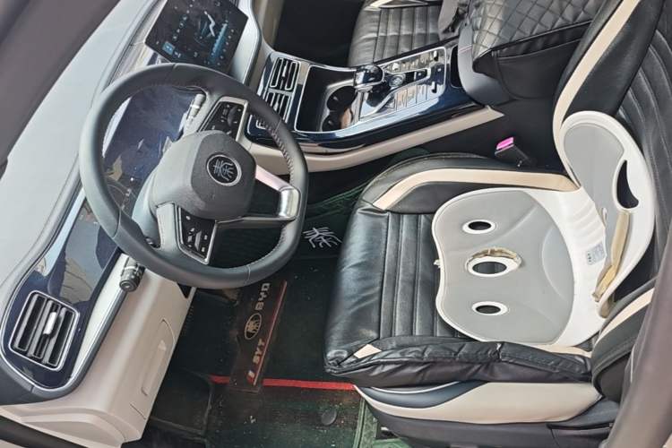 Used BYD Qin PLUS 2021 DM-i 55KM Flagship Model Driver Seat