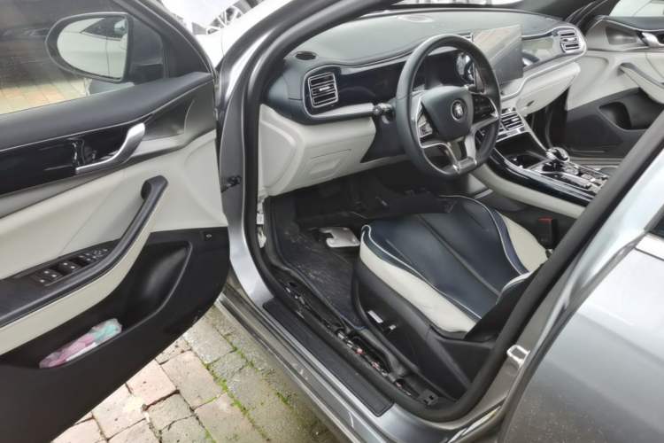 Used BYD Qin PLUS 2021 EV 500KM Luxury Model Driver Seat
