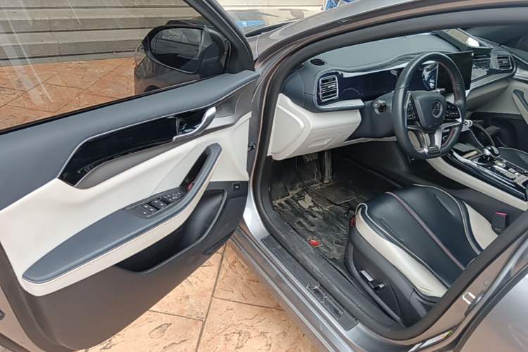 Used BYD Qin PLUS 2021 EV 500KM Luxury Model Driver Seat