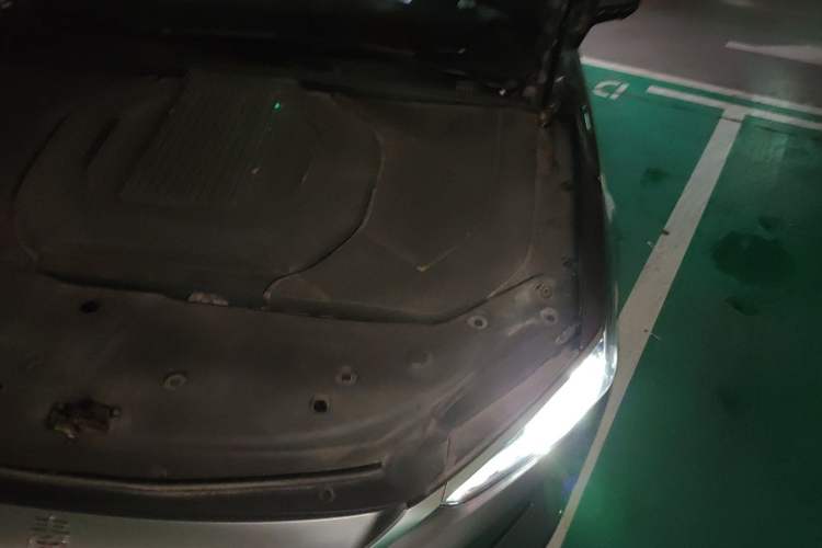 Used BYD Qin PLUS 2021 EV 600KM Flagship Model Engine Bay Left