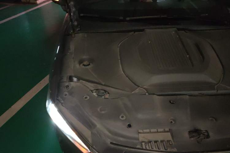 Used BYD Qin PLUS 2021 EV 600KM Flagship Model Engine Bay Right