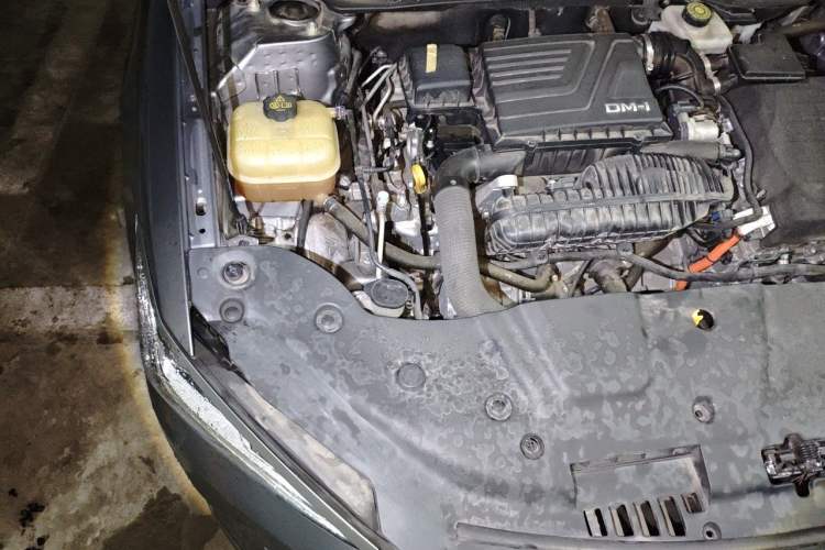 Used BYD Qin PLUS 2021 DM-i 55KM Flagship Model Engine Bay Right
