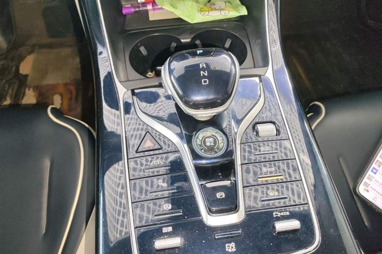 Used BYD Qin PLUS 2021 EV 500KM Premium Model Gear Lever