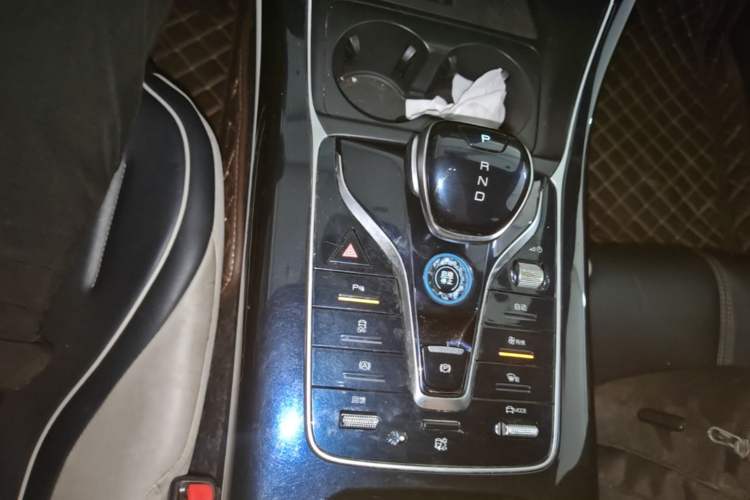 Used BYD Qin PLUS 2021 EV 500KM Luxury Model Gear Lever