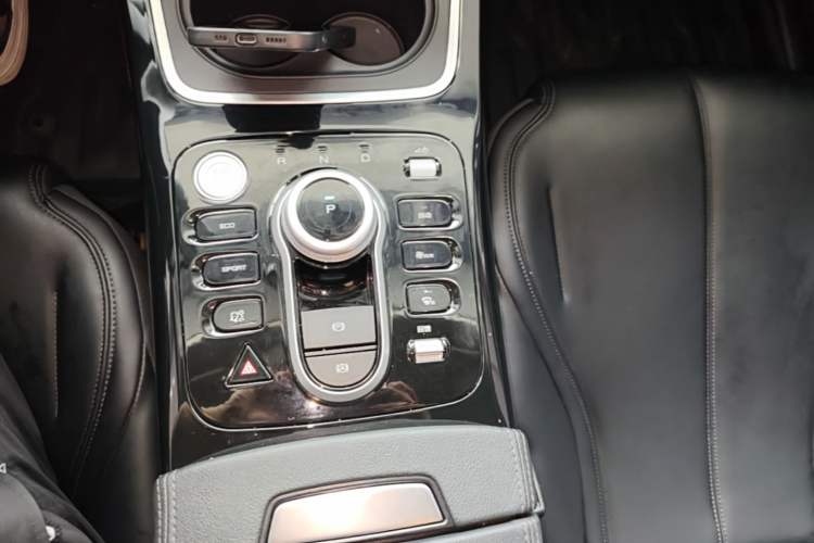 Used BYD Qin PLUS 2021 EV 400KM Leading Comfort Edition Gear Lever